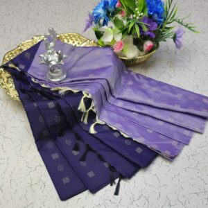 Half & Half Sarees 002