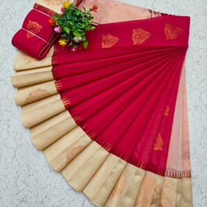 Kotanji Border Silk Cotton Sarees 049