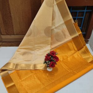 Elampillai Silk Cotton Sarees 001